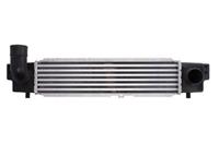 Thermotec Ladeluftkühler  DA03001TT