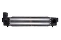 Intercooler THERMOTEC DA03001TT