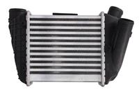 Intercooler THERMOTEC DAA002TT