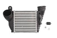 Intercooler THERMOTEC DAA009TT