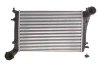 Intercooler THERMOTEC DAA010TT