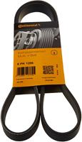 Contitech Multiriem 6PK1256