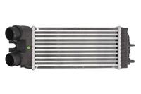 Intercooler THERMOTEC DAC002TT