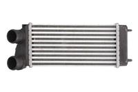 Intercooler THERMOTEC DAC004TT