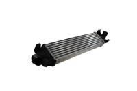 Thermotec Ladeluftkühler  DAG002TT