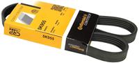 Contitech Keilrippenriemen  5PK955