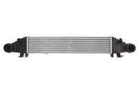 Intercooler THERMOTEC DAM008TT