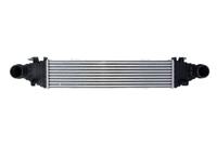 Intercooler THERMOTEC DAM009TT