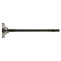 Febi Bilstein Einlassventil  38311