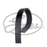 V-snaar Geribd Gates 6pk1590xs