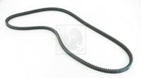 Nps Keilriemen  M111A55