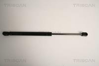 Gasfeder, Heckscheibe Triscan 8710 15242