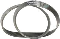 Contitech Multiriem 6PK1033