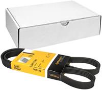 Contitech Multiriem 5PK1190
