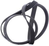 Contitech Multiriem 6PK1670