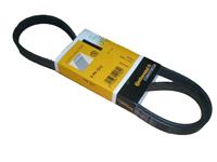 Contitech Multiriem 5PK1212