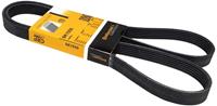 Contitech Multiriem 6PK1555