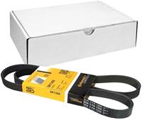 Contitech Multiriem 5PK1300