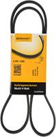 Contitech Multiriem 5PK1355