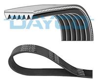 DAYCO Poly V-riem 6PK1502S