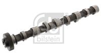 febibilstein Nockenwelle Einlassseite Febi Bilstein 176931