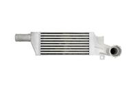 Intercooler THERMOTEC DAX009TT