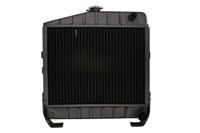 Thermotec Kühler, Motorkühlung  D7AG012TT
