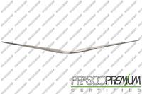 Sierlijst/beschermstrip,Radiatorrooster BLIC 6502-07-8156210Q