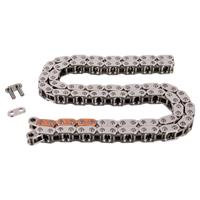 Febi Bilstein Steuerkette  171576