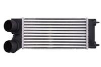 Intercooler THERMOTEC DAC013TT