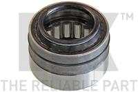 Radlager Hinterachse NK 769313