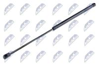 NTY Gasfeder, Heckscheibe  AE-RE-054