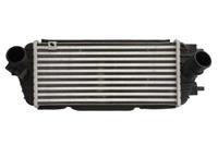 Intercooler THERMOTEC DA03005TT