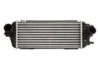 Intercooler THERMOTEC DA03006TT