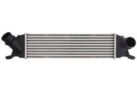 Intercooler THERMOTEC DA05013TT