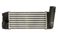 Intercooler THERMOTEC DA2007TT