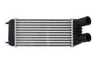 Intercooler THERMOTEC DAP006TT