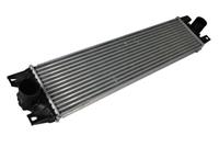 Intercooler THERMOTEC DAR003TT