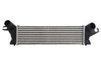 Intercooler THERMOTEC DAR019TT