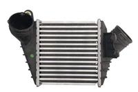 Intercooler THERMOTEC DAW017TT