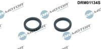Dr.Motor Automotive Dichtungssatz, Ölkühler  DRM01134S
