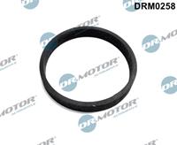 Dr.Motor Automotive Dichtung, Turbineneinlass (Lader)  DRM0258