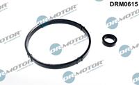 Dr.Motor Automotive Dichtungssatz, Ölkühler  DRM0615