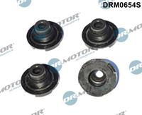 dr.motorautomotive Pakking, cilinderkop Dr.Motor Automotive DRM0654S