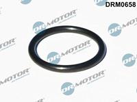 Dr.Motor Automotive Dichtung, Turbineneinlass (Lader)  DRM0658