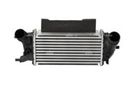 ford Intercooler, inlaatluchtkoeler 309044