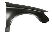 Fender BLIC 6504-04-0027316P