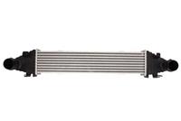 Intercooler THERMOTEC DAM025TT