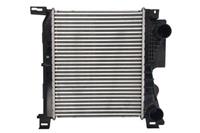 Intercooler THERMOTEC DAY001TT