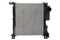 Intercooler THERMOTEC DAY001TT